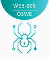 WEB-300 logo
